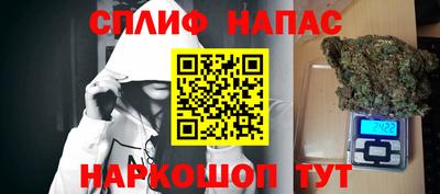 стаф Обь