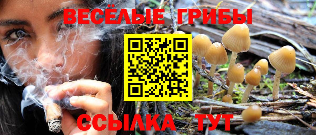Обь  Псилоцибиновые грибы мухоморы  Вход с VPN 