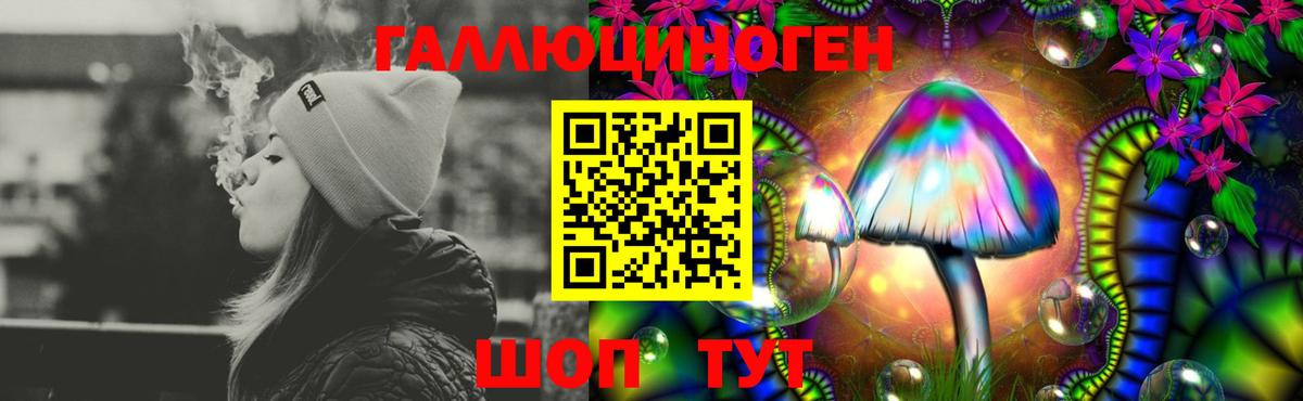Псилоцибиновые грибы прущие грибы Обь